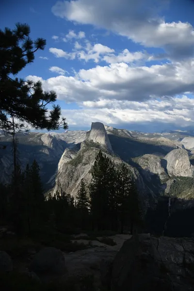 DSC_4181 (Large).JPG